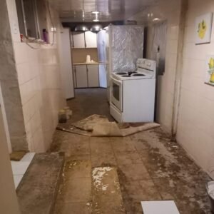 WhatsApp Image 2026-02-05 at 6.18.11 PM